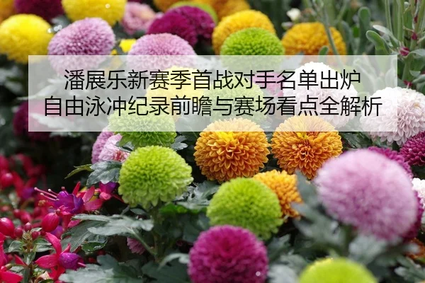 潘展乐新赛季首战对手名单出炉 自由泳冲纪录前瞻与赛场看点全解析