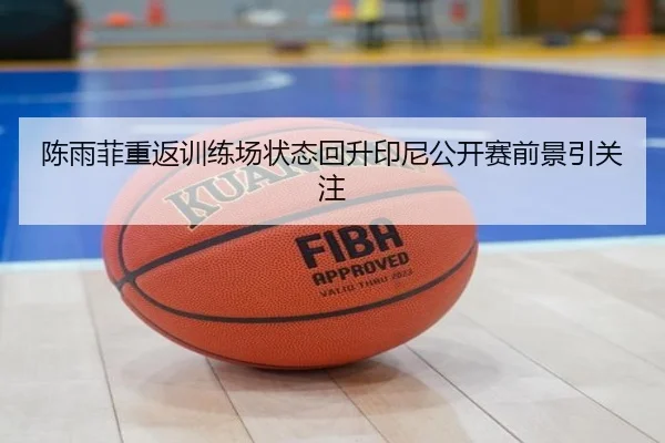 陈雨菲重返训练场状态回升印尼公开赛前景引关注